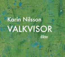 Karin Nilsson - Valkvisor