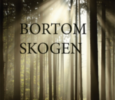 Lars Tidholm - Bortom skogen