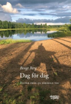 Bengt Berg - Dag för dag: Texter från en särskild tid