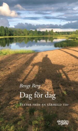 Bengt Berg - Dag för dag: Texter från en särskild tid