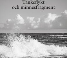 Inger Jalmert Moritz - Tankeflykt och minnesfragment