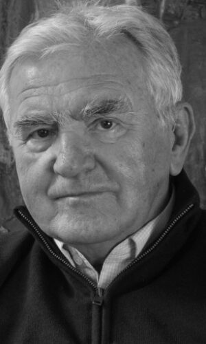 vladimir-rozijan-gray