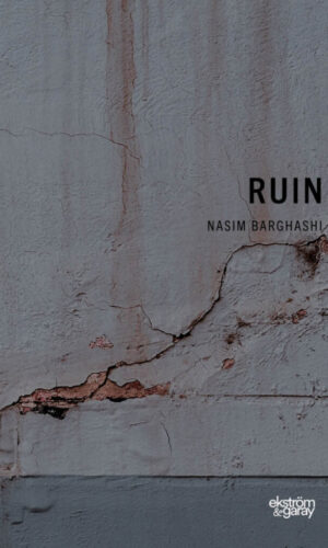 Nasim Barghashi - Ruin