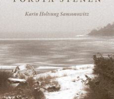 Karin Holtsung Samsonowitz - Kasta första stenen