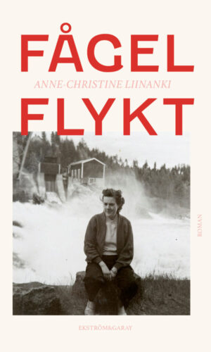 Anne-Christine Liinanki - Fågelflykt