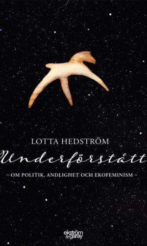 Lotta Hedström - Underförstått