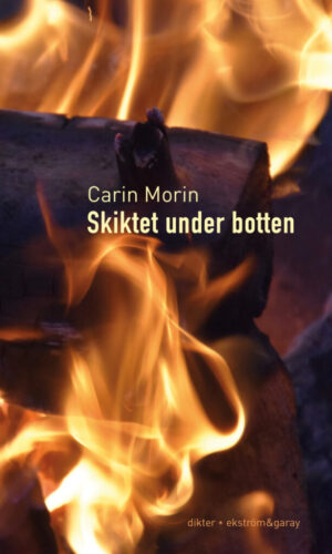 Carin Morin - Skiktet under botten