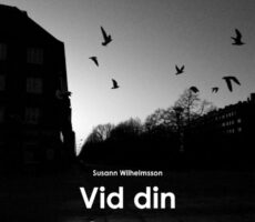 Susann Wilhelmsson - Vid din skugga
