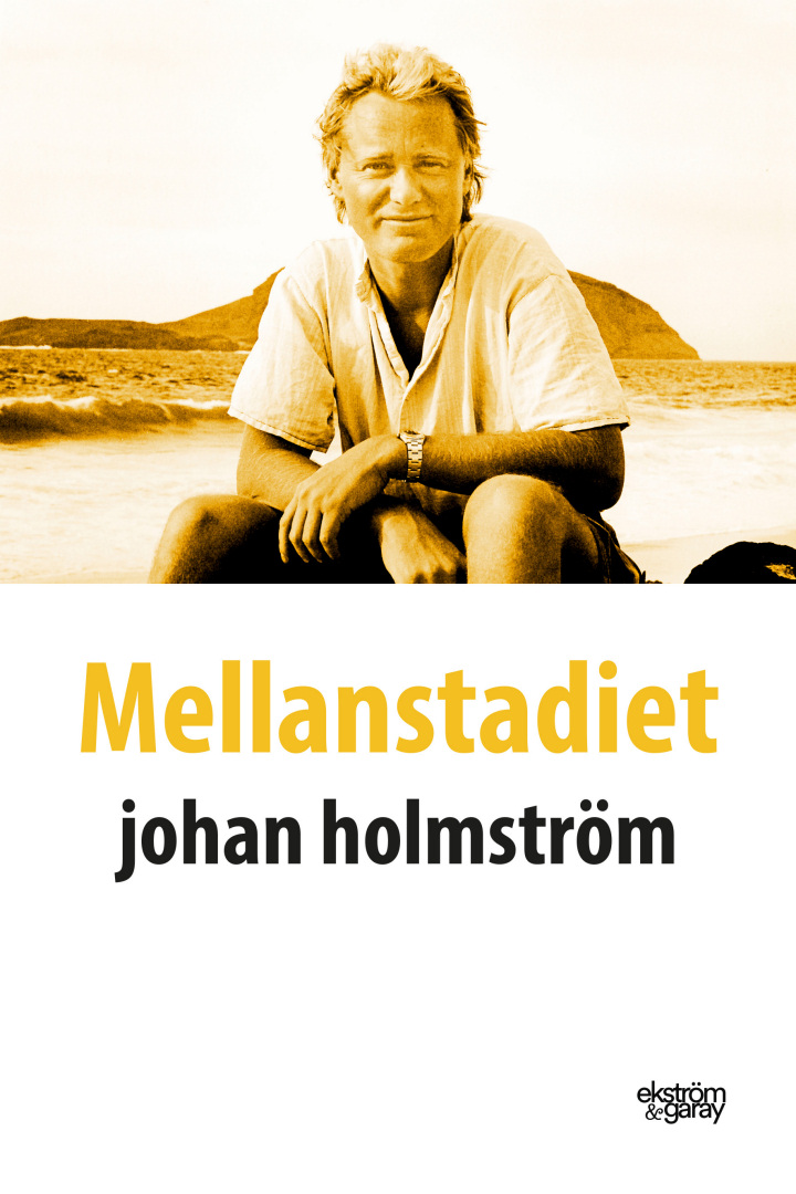 Johan Holmström - Mellanstadiet