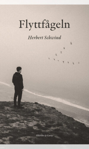 Herbert Schwind - Flyttfågeln