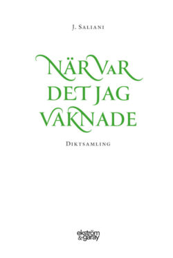 J. Saliani - När var det jag vaknade