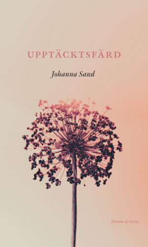Johanna Sand – Upptäcktsfärd