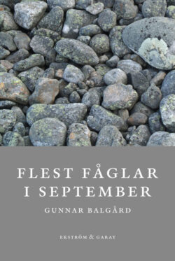 Gunnar Balgård - Flest fåglar i september