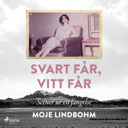 Moje Lindbohm - Svart får, vitt får - Scener ur ett fängelse