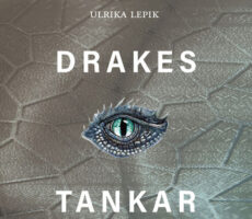 Ulrika Lepik - En drakes tankar