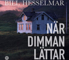 Bill Hesselmar - När dimman lättar