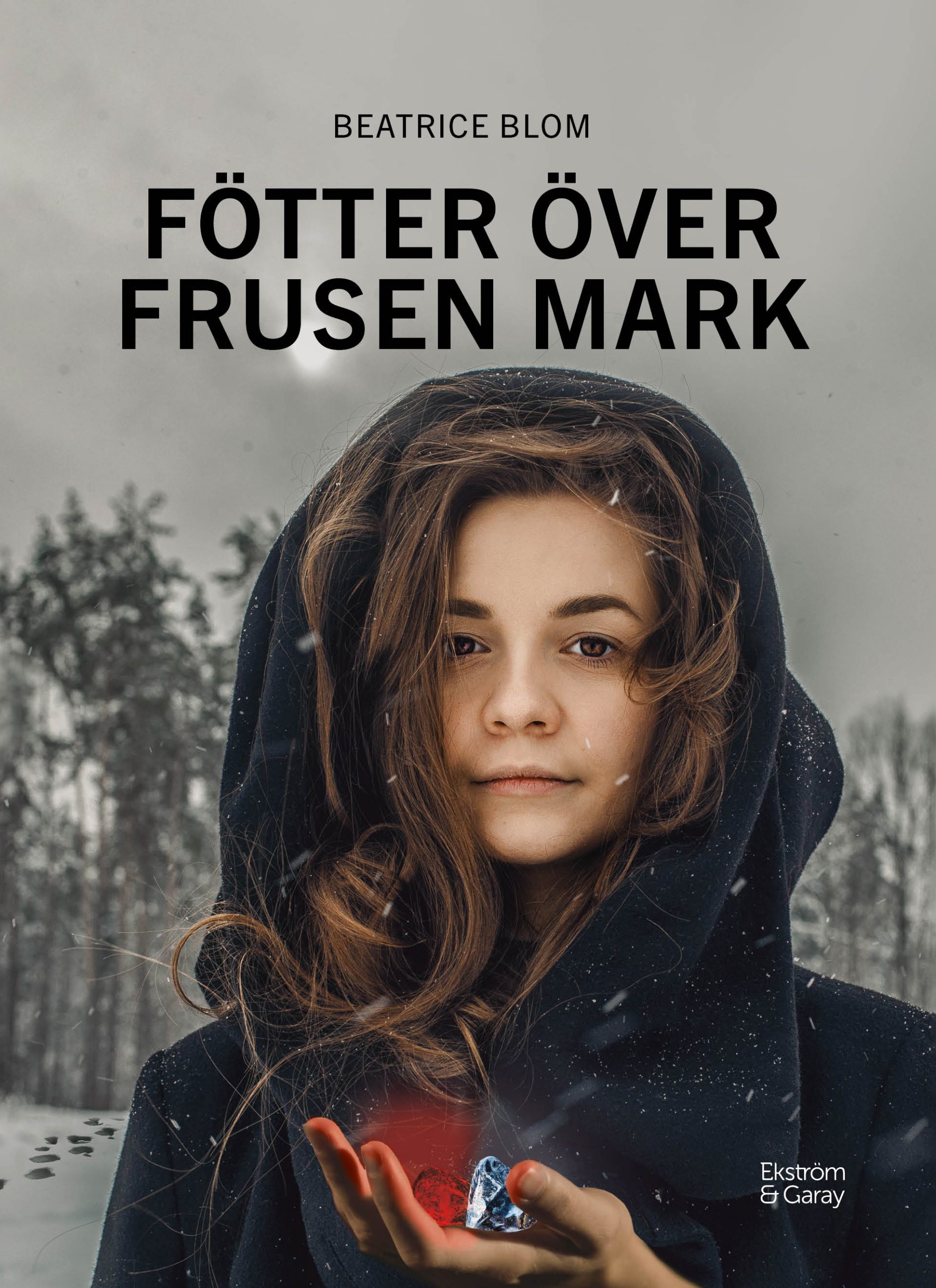 Omslag-DB-Fotter_over_frusen_mark-framsida