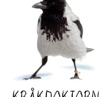 Nilsson_Kraakdoktorn