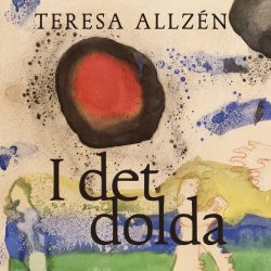 i-det-dolda-audio