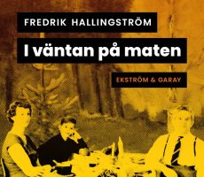 Hallingstrom_IVantanPaMaten_Audio