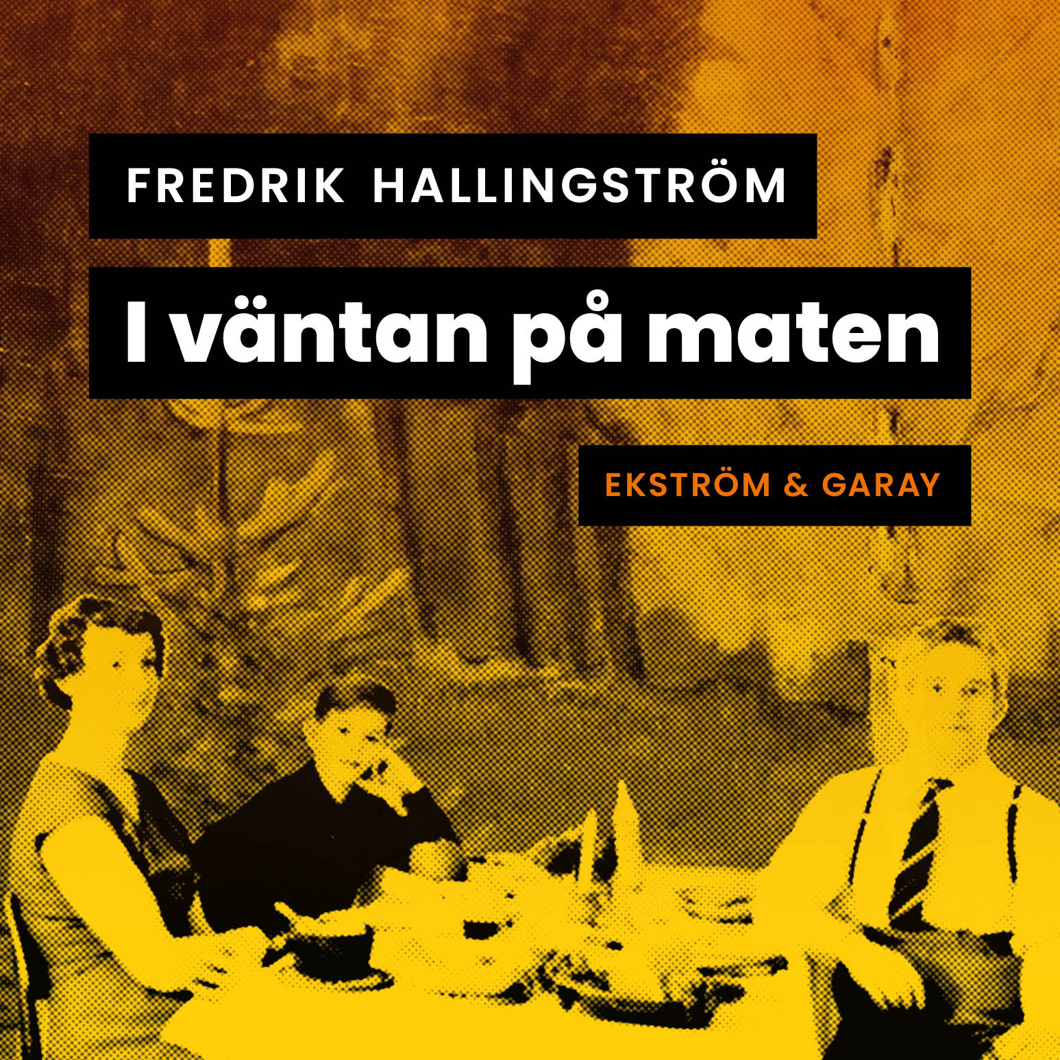 Hallingstrom_IVantanPaMaten_Audio