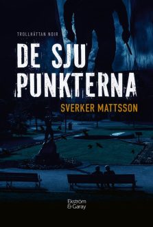 Mattsson_DeSjuPunkterna