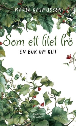 Omslag-DBL-Som ett litet fro-framsida