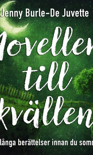 novellen-for-kvallen-audio