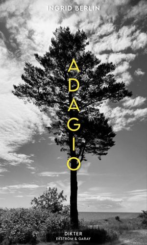 berlin_adagio-omslag-f