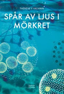 Spar_av_ljus_i_morkret_framsida