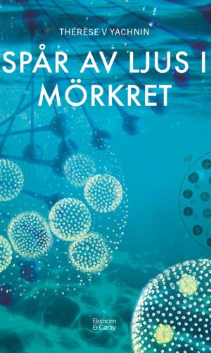 Spar_av_ljus_i_morkret_framsida