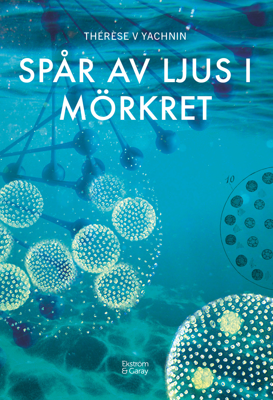 Spar_av_ljus_i_morkret_framsida