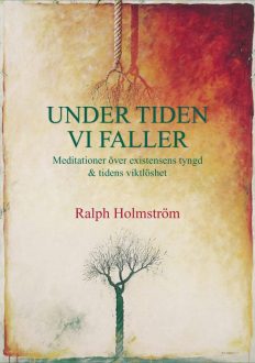 Holmstrom_Under-tiden-vi-faller-omslag