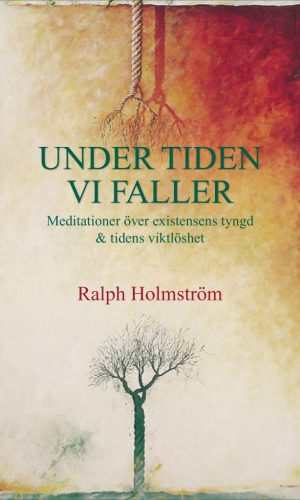 Holmstrom_Under-tiden-vi-faller-omslag